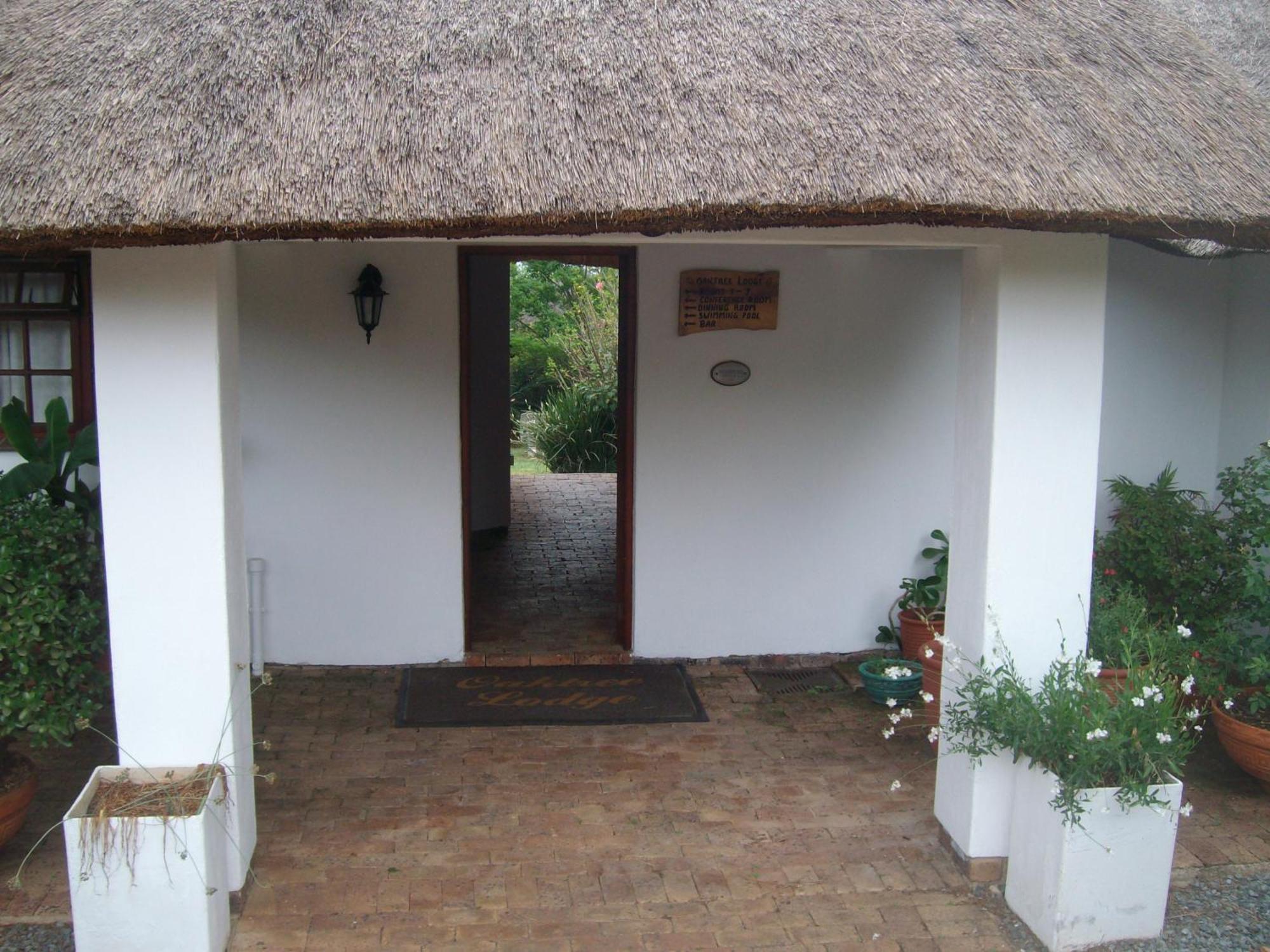 Oaktree Lodge Guest House Kyalami Exterior foto
